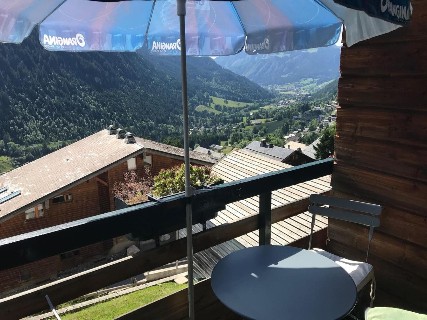 Фотография 10: Studio Châtel 4 Pers, Ski, Balcon Sud/Ouest, Parking, Netflix/WIFI, Animaux admis - FR-1-676-122