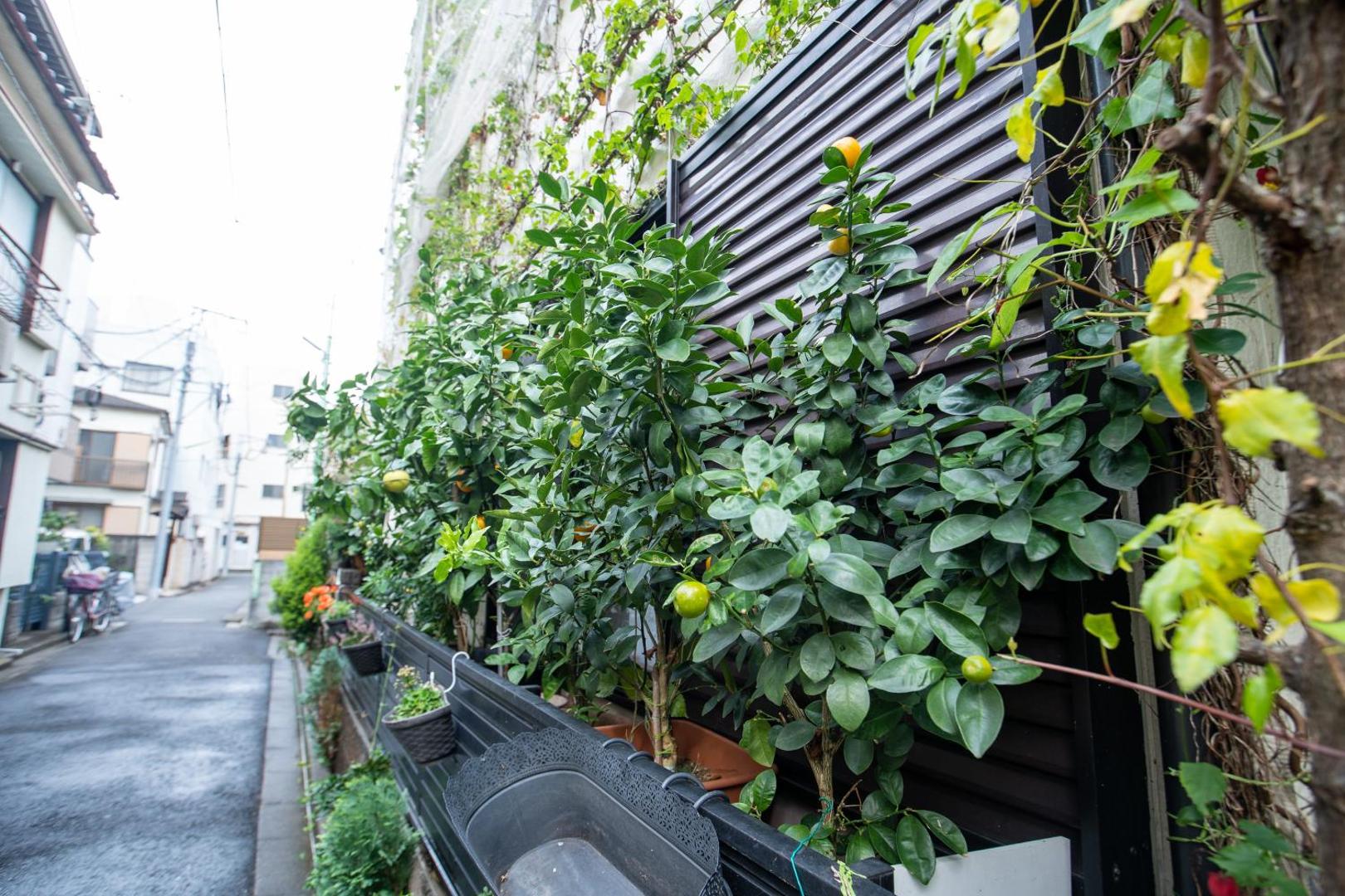 Φωτογραφία 10: 東京吉久花園旅館