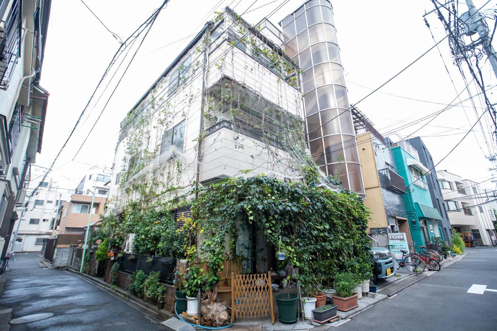 Φωτογραφία 9: 東京吉久花園旅館