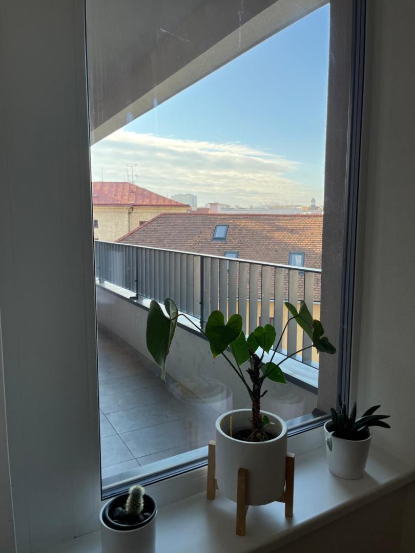 Foto 9: Apartman Usmev