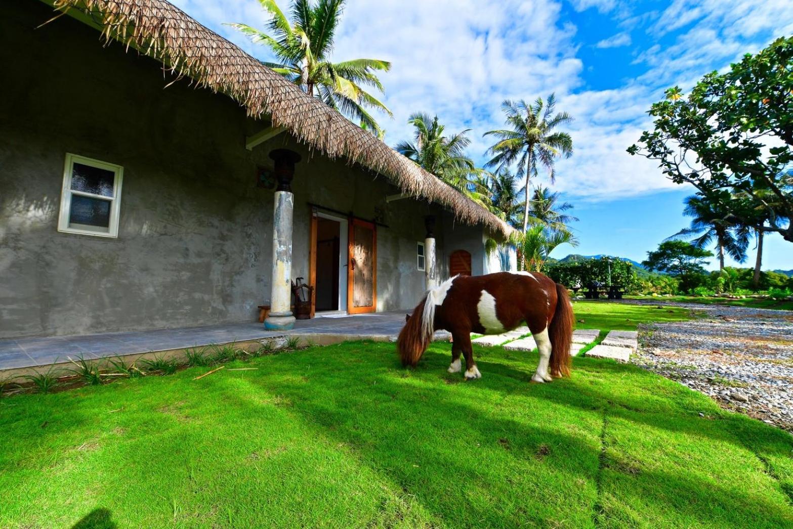 Photo 6 : 鳳凰懷舊