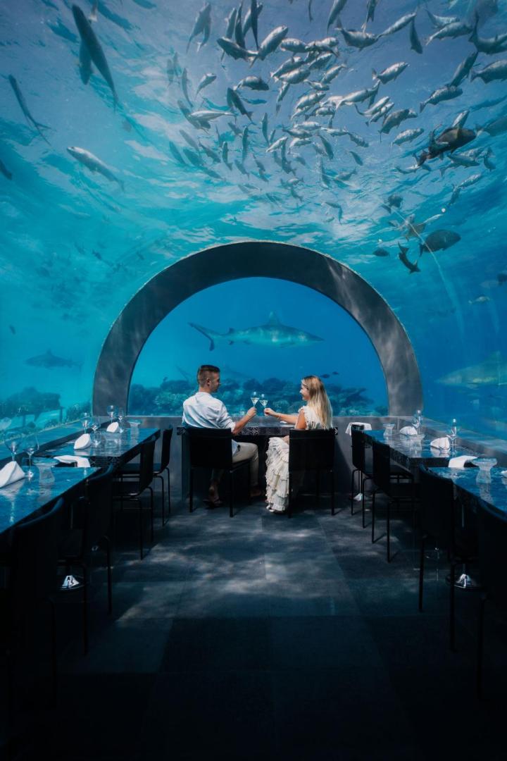Bilde 9: You & Me Maldives - Adults Only - Premium All-Inclusive
