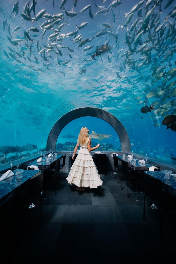 Bilde 8: You & Me Maldives - Adults Only - Premium All-Inclusive