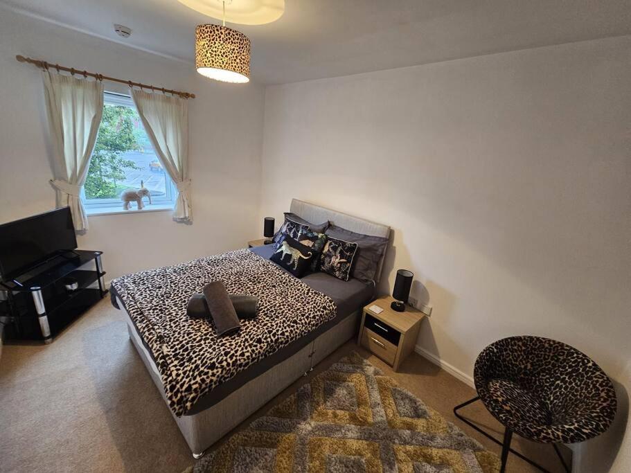Φωτογραφία 5: Leopard in Dutton Warrington