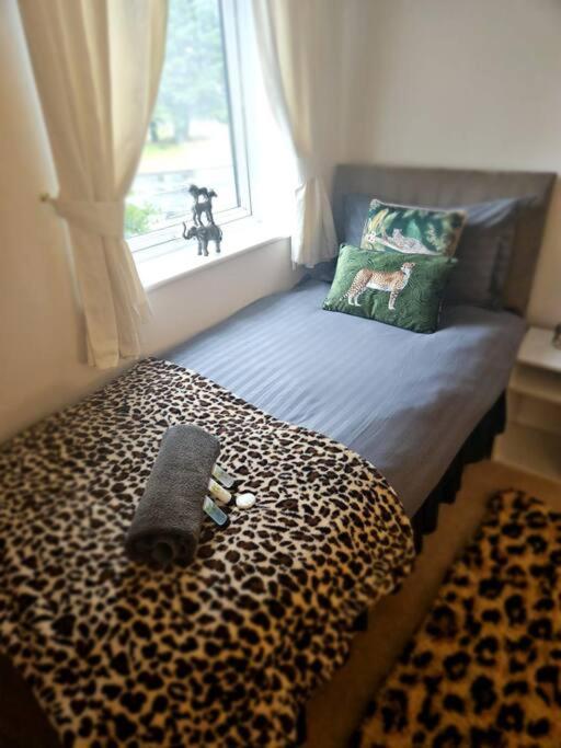 Φωτογραφία 10: Leopard in Dutton Warrington