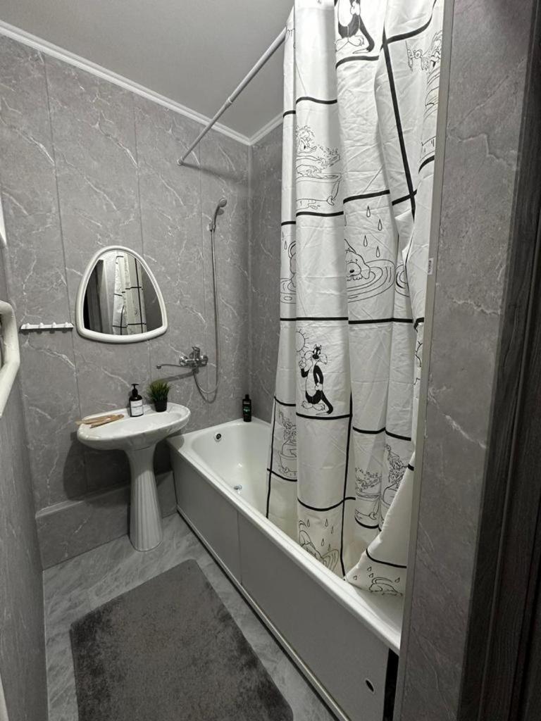 Foto 2: 1 комнатная квартира,