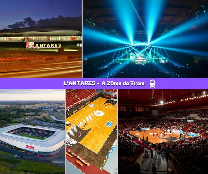 Foto 8: Flexy - T2 - L' Agate Grise - Le Mans