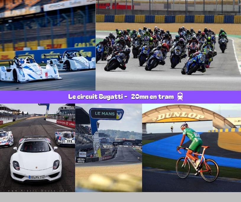 Foto 9: Flexy - T2 - L' Agate Grise - Le Mans