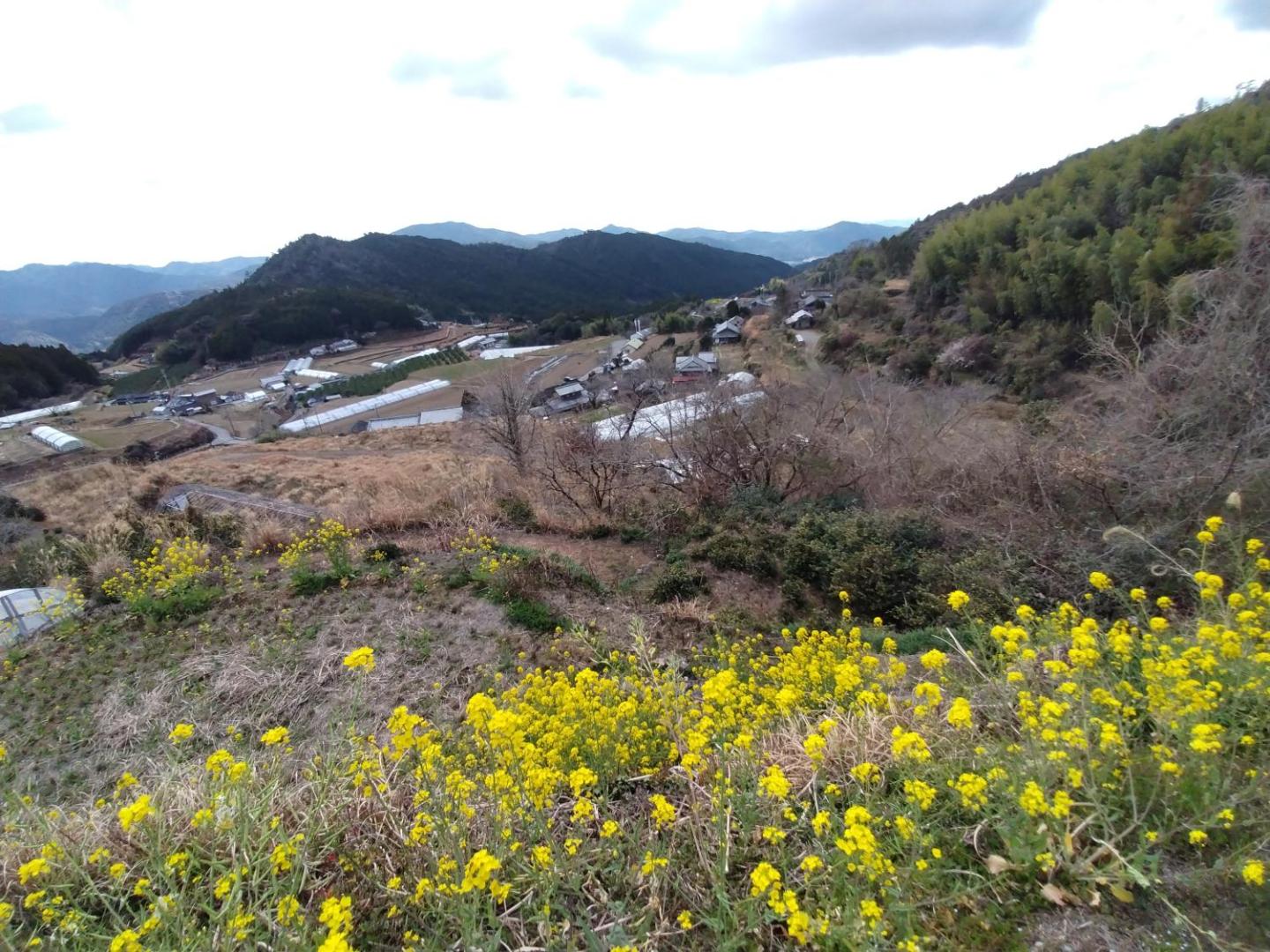Fotografia 7: たけ丸