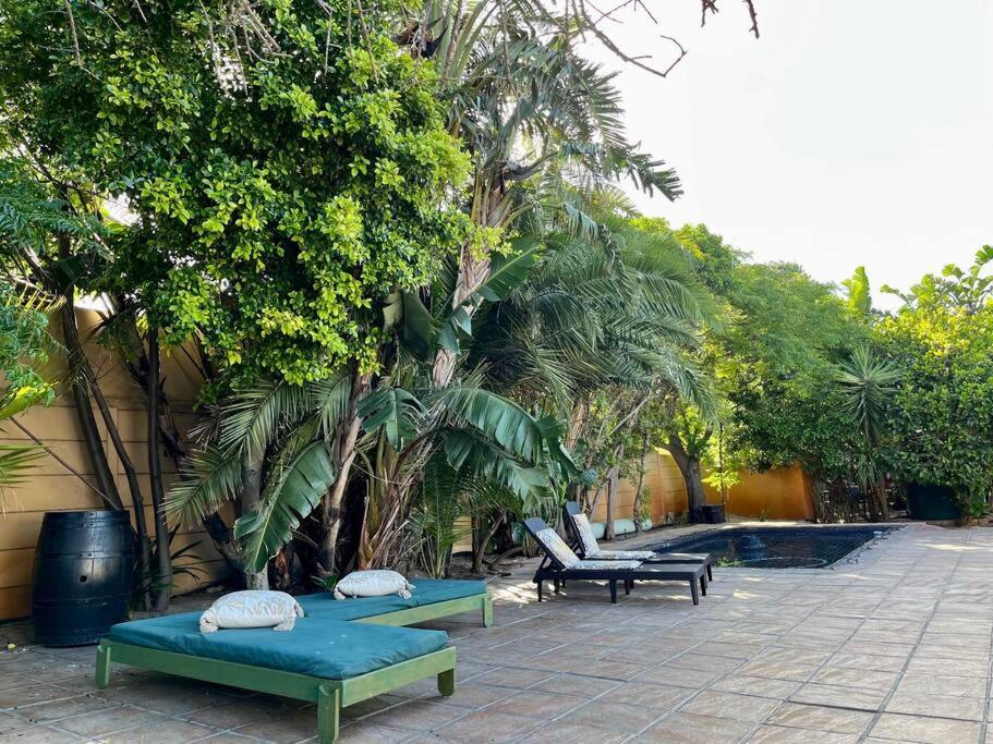 Kuva 5: Studio 4 with Pool Access & No Loadshedding