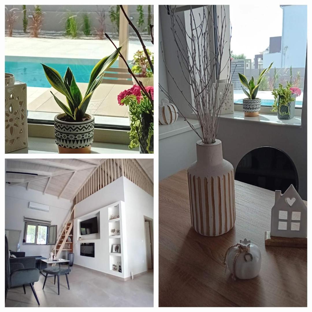 Zdjęcie 8: EVAMAR, Premium Living