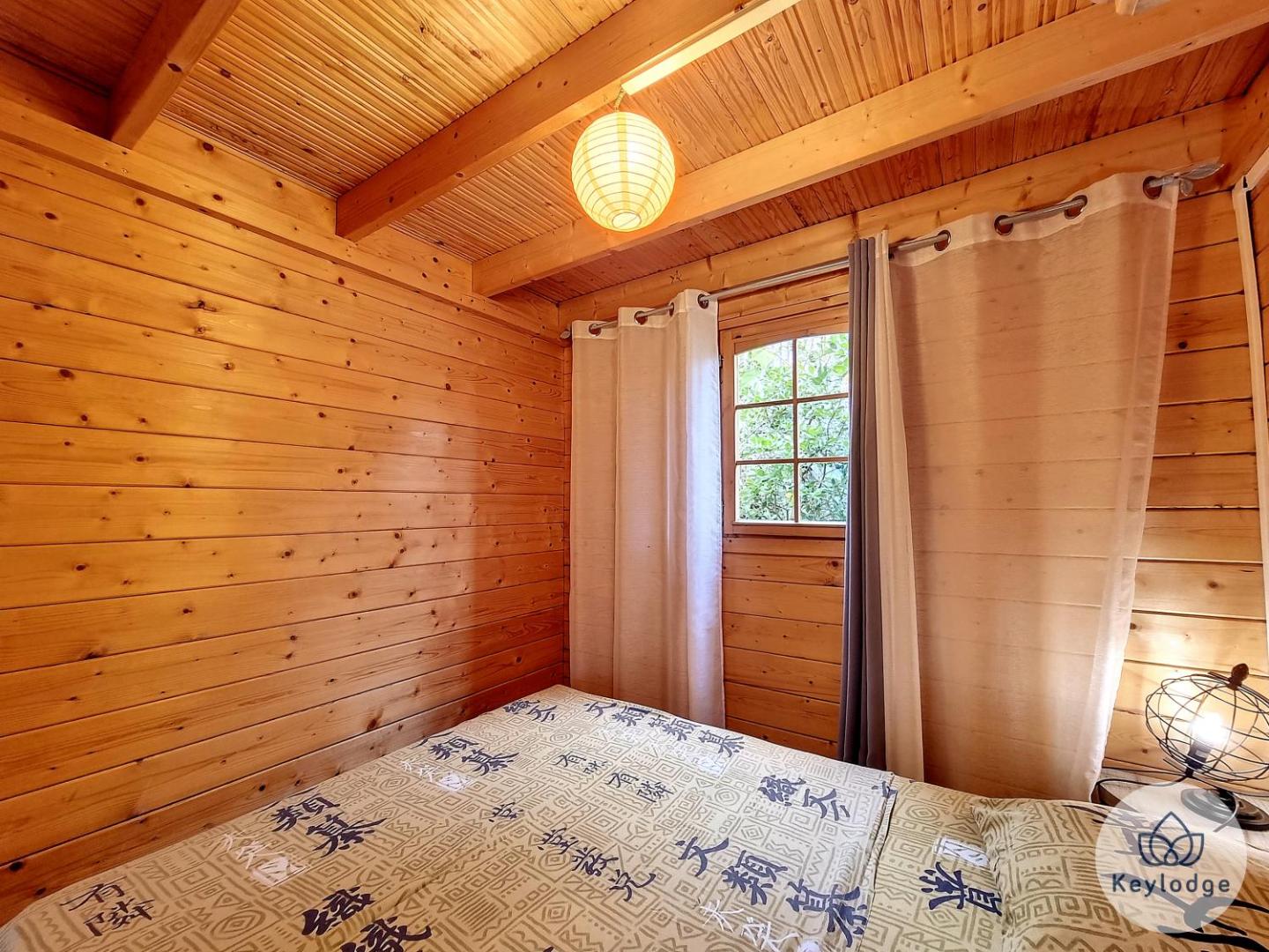Φωτογραφία 10: Scheffléra - Bungalow aux Makes - Saint-Louis