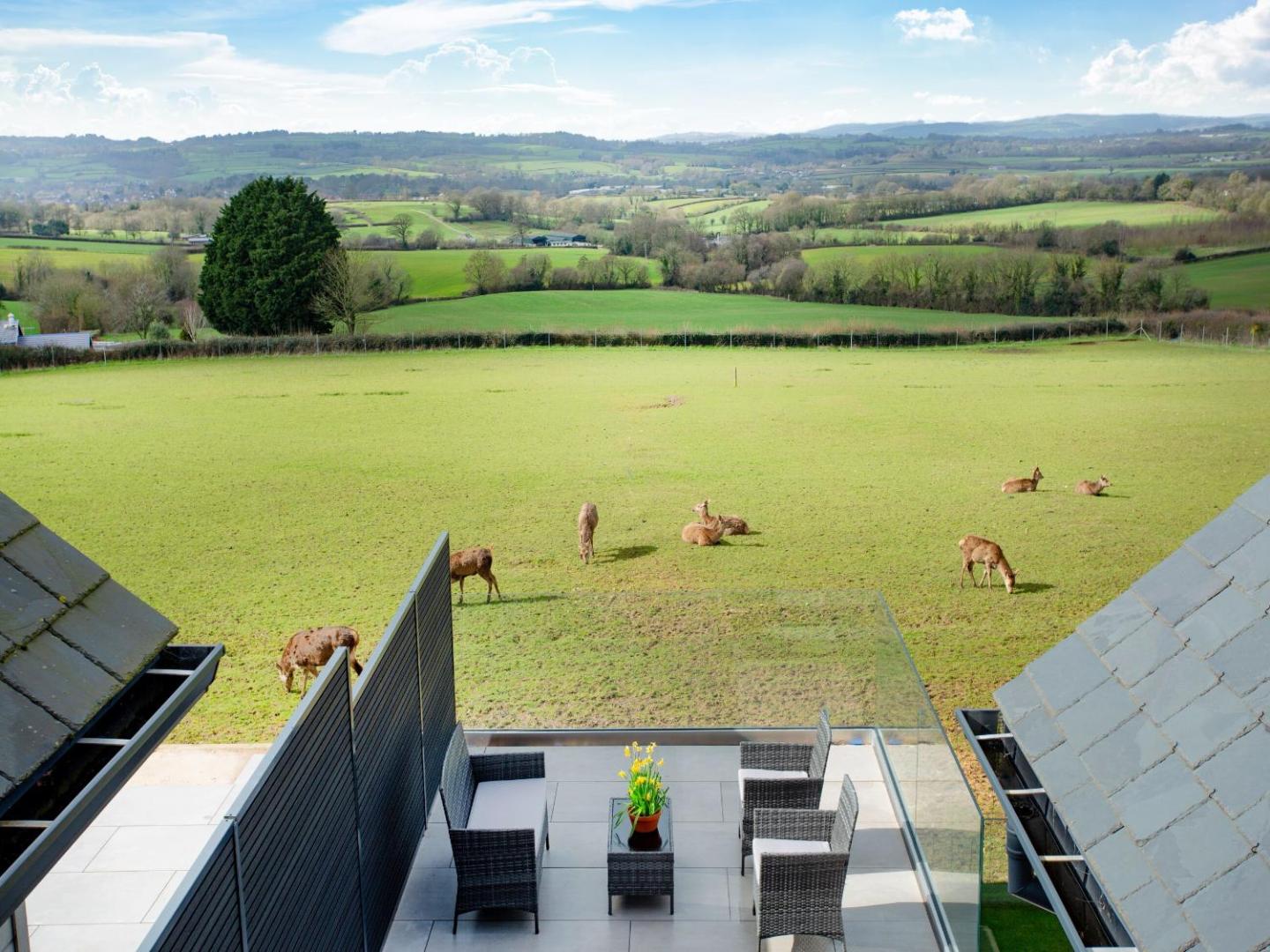 Fotografie 4: Deer View