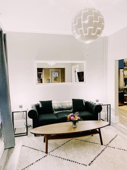 Fotografie 3: Spin & Sip - Dog-Friendly Vinyl Vibes Downtown
