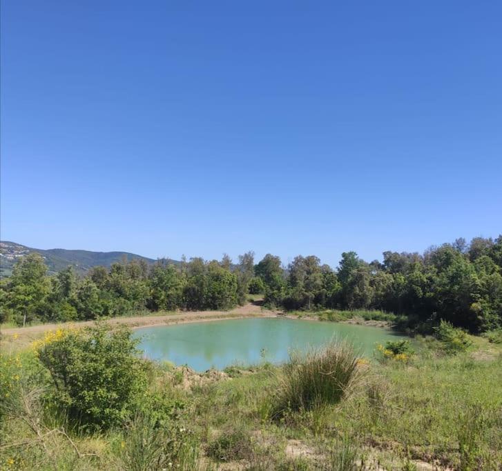 Foto 3: Rustico in un parco di lecci