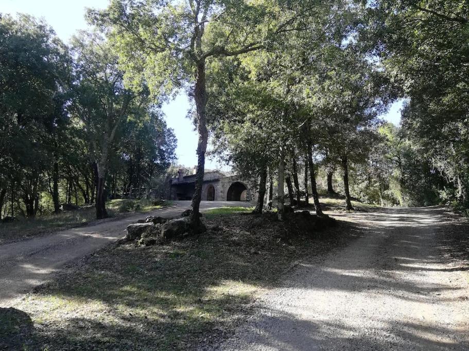 Foto 4: Rustico in un parco di lecci