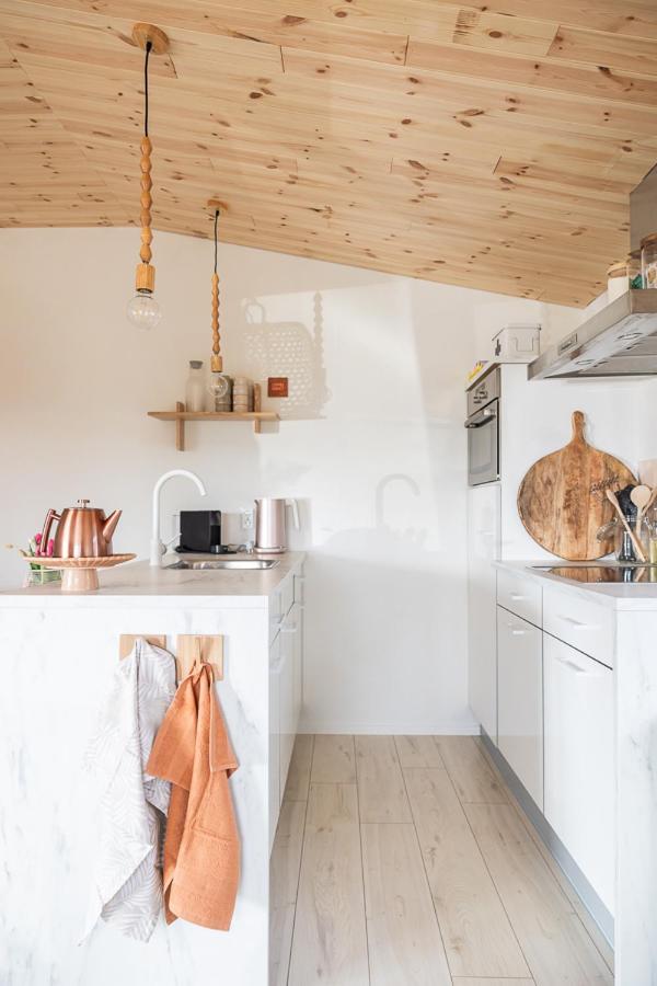 Foto 5: Zweeds vakantiehuis Leva midden in Drents-Friese Wold