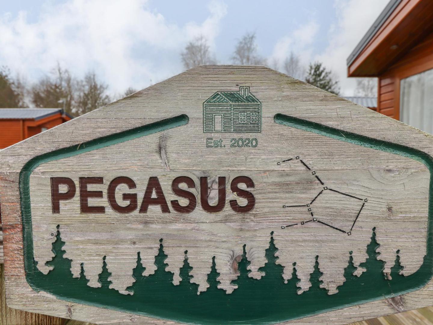 Fotografie 3: Pegasus