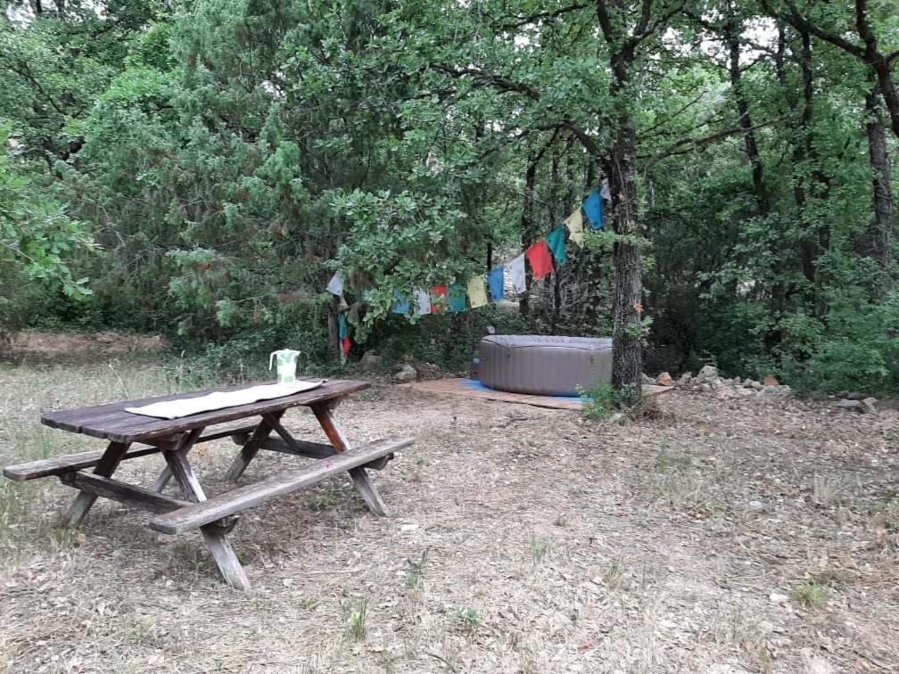 Zdjęcie 7: Tipizen