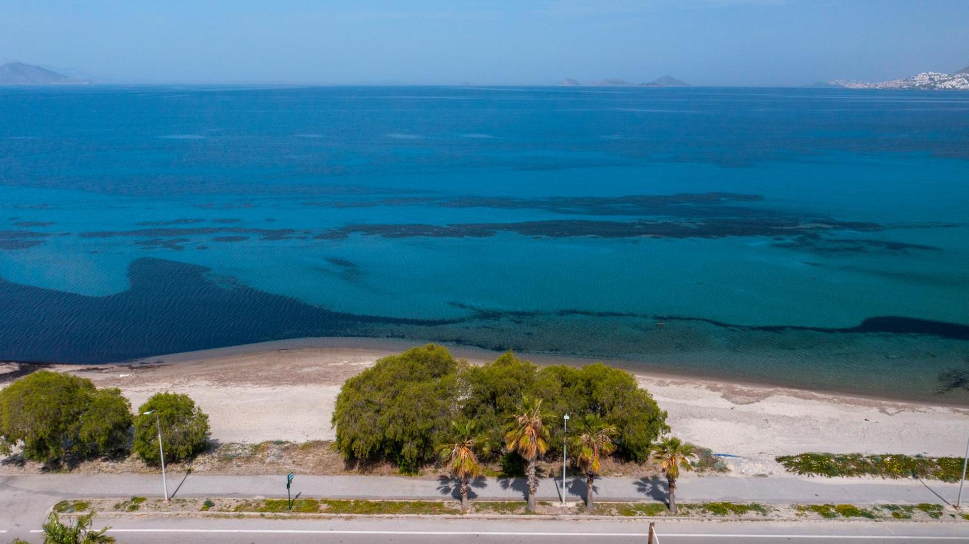 Bilde 4: Sun & Waves Beachfront Suite