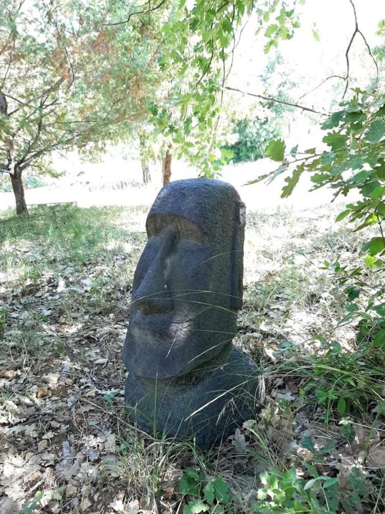 Zdjęcie 10: Tipizen