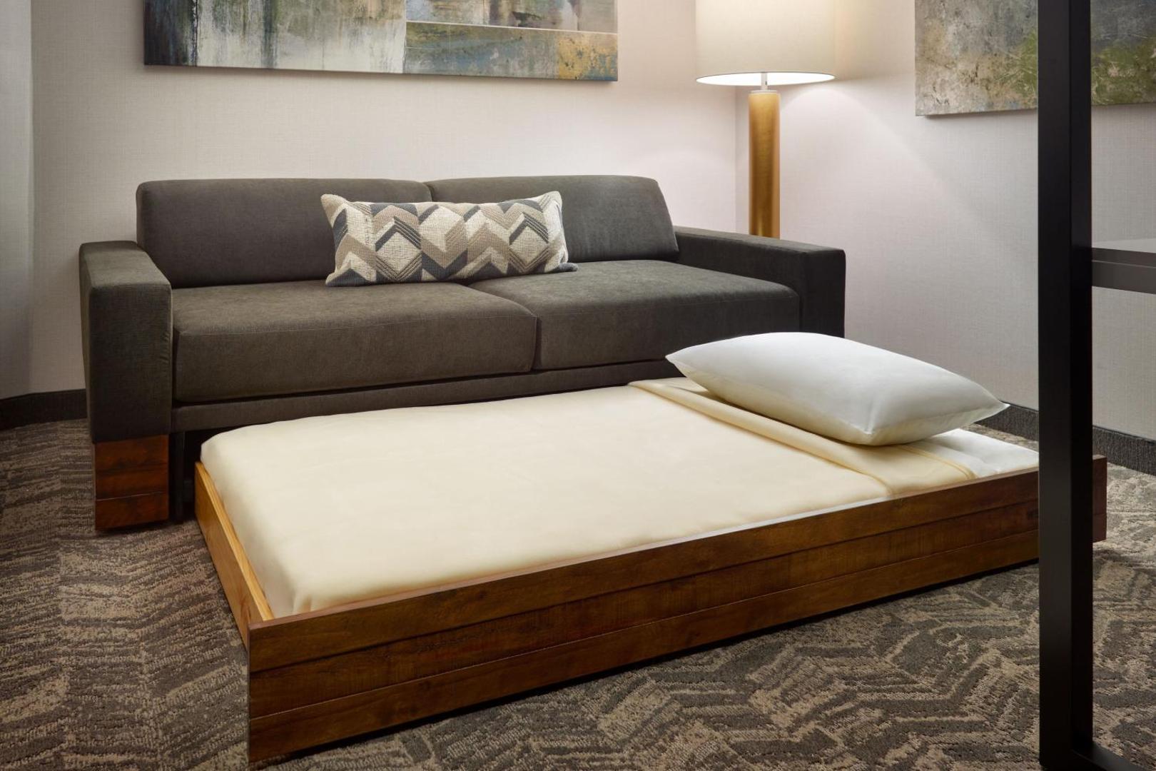 Billede 5: SpringHill Suites by Marriott Arlington TN
