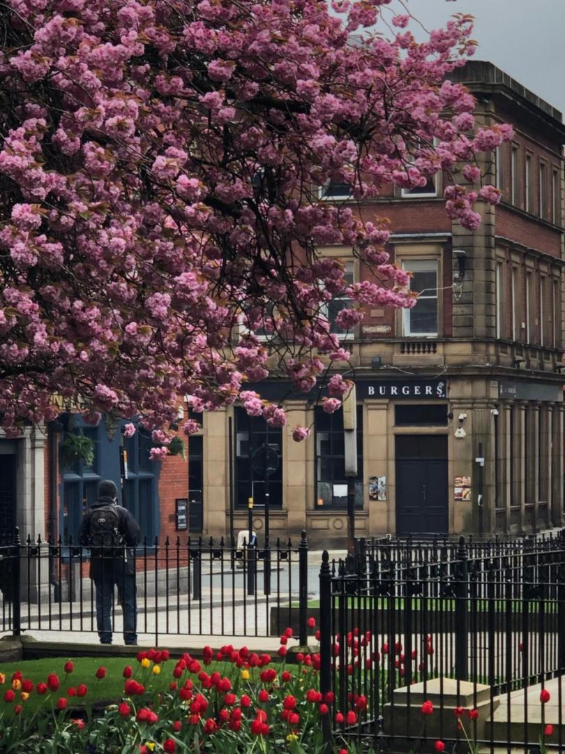 Fotografie 7: Studio in Bolton town, Short stay studio 3,