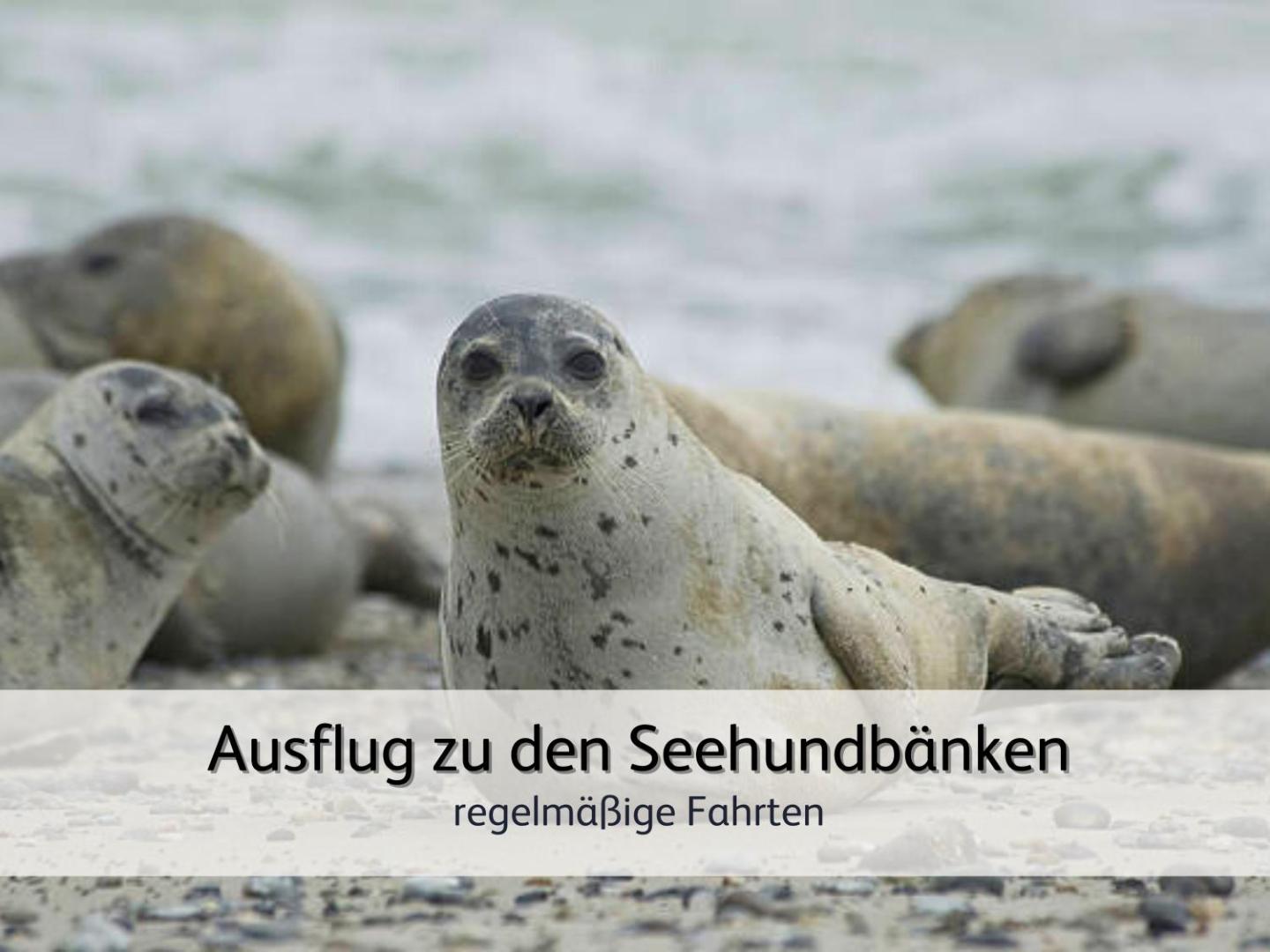 Bilde 6: strandnahe Familien-Oase mit Kinderbuggy