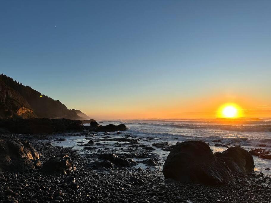 Billede 8: Shorepine - Tiny Tranquility on the Oregon Coast!