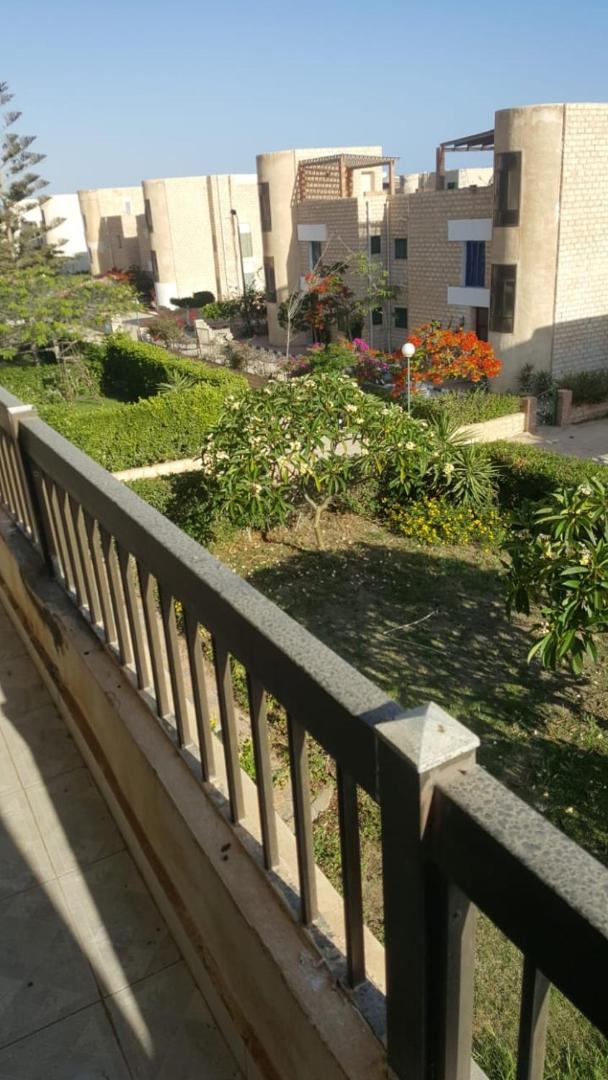 Photo 2 : القاهره