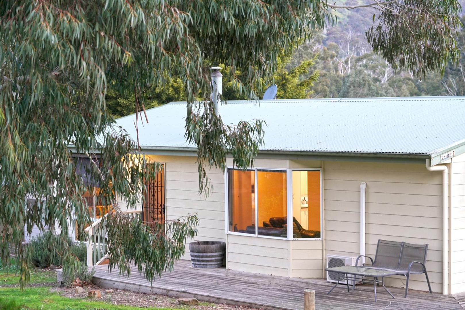 Bild 4: Stringybark, Halls on Falls Homestead