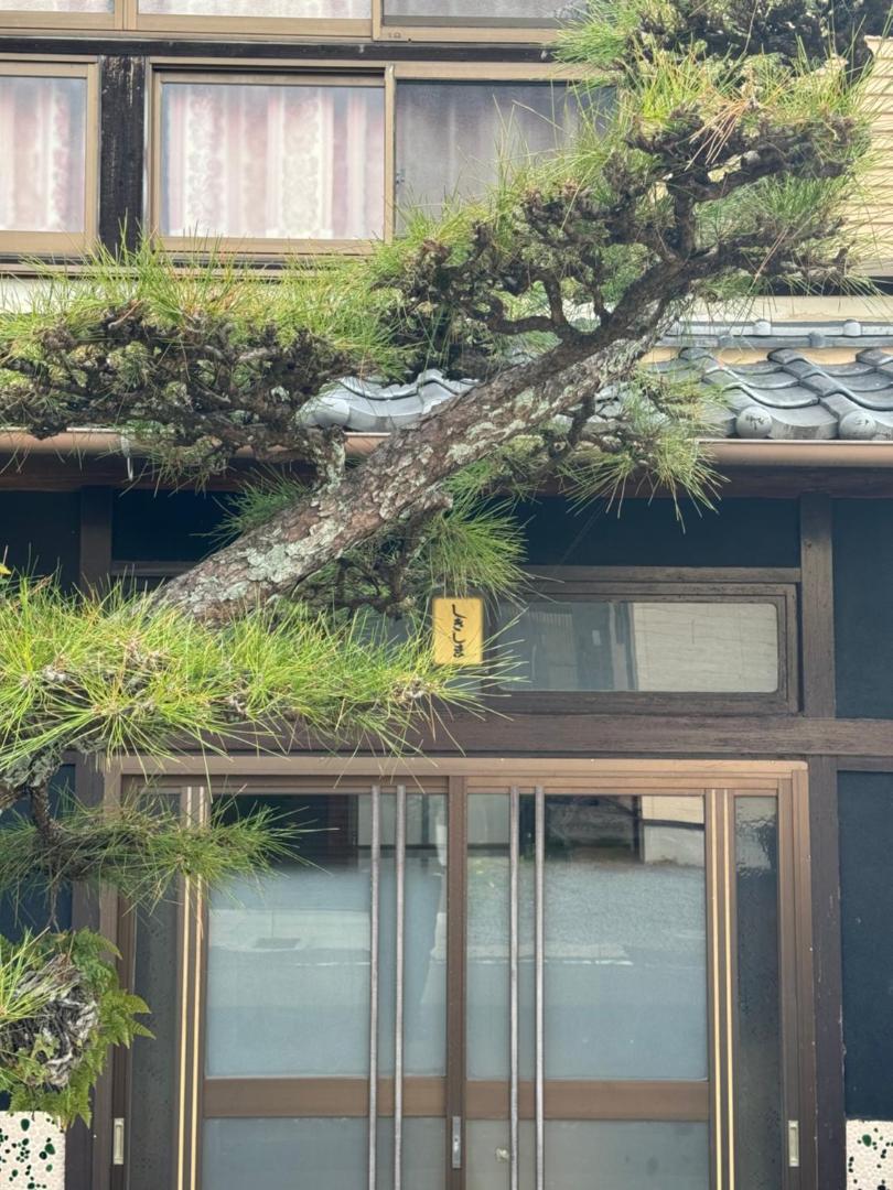 Zdjęcie 7: 敷島旅館