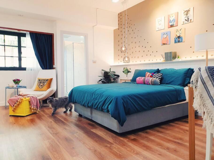 Billede 5: Double Studio, Private Bath & Balcony, Shared Kitchen with Local Family by Pillows & Purrs