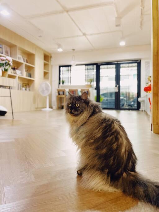 Billede 10: Double Studio, Private Bath & Balcony, Shared Kitchen with Local Family by Pillows & Purrs