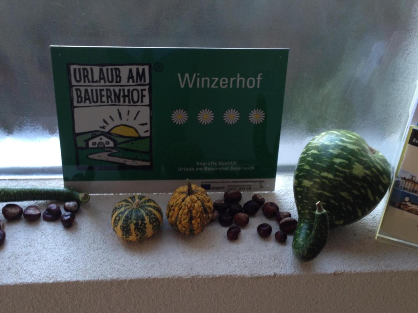 Foto 10: Winzerhof Klua Hoada