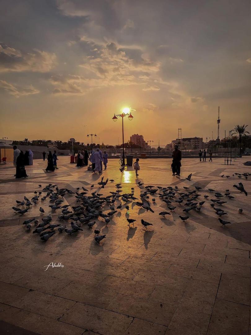 Fotografia 4: عقاري