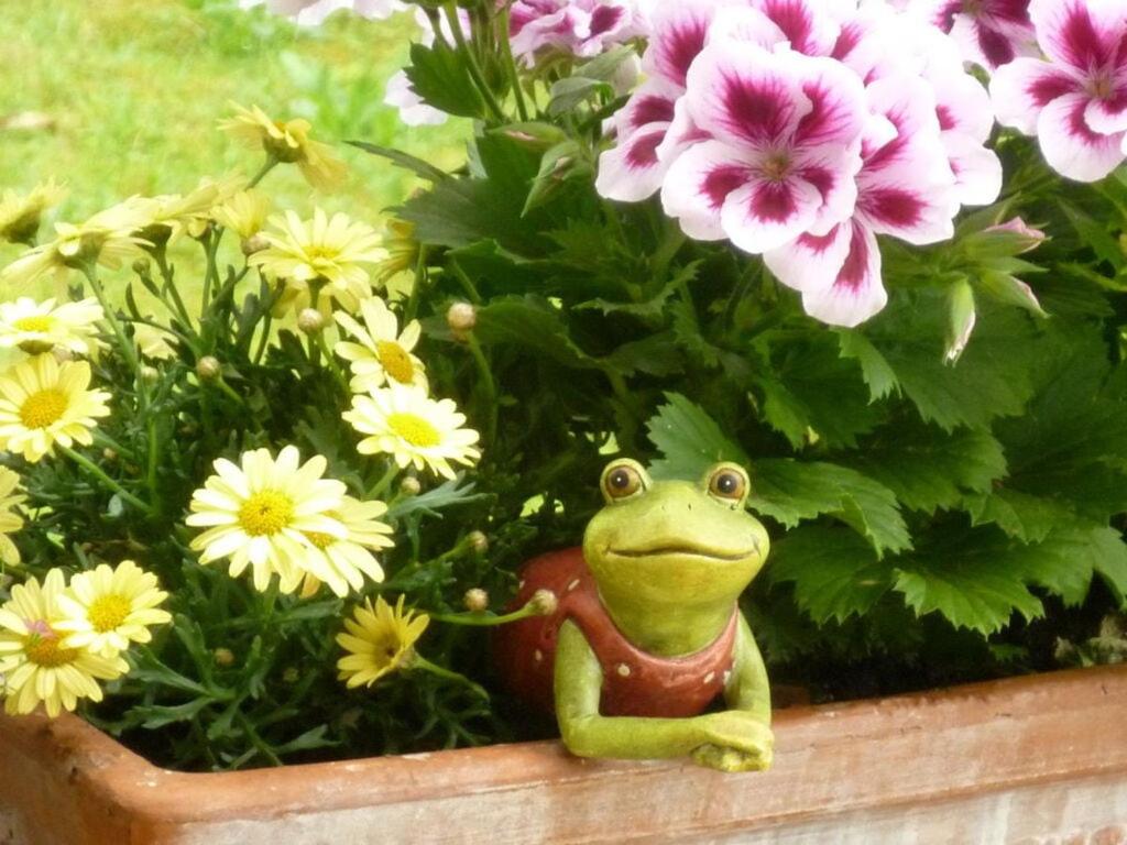 Foto 6: Basler - Het kleine vakantiegeluk
