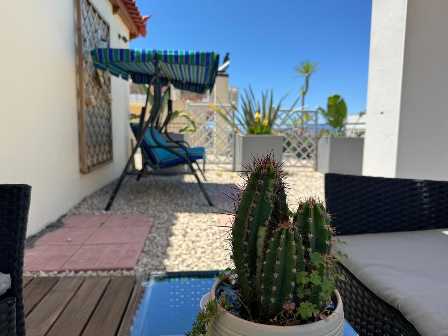 Bilde 5: Rooftop 11