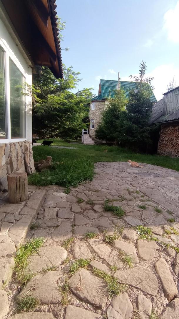 Photo 6 : Колорит