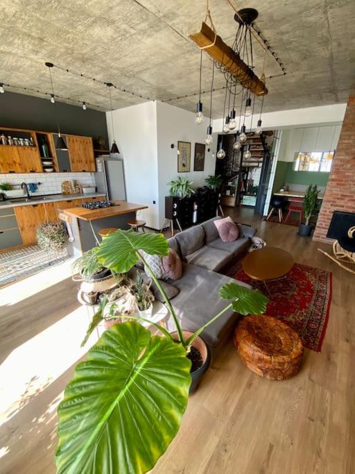 Billede 6: Triplex with Tbilisi view