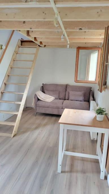 Zdjęcie 4: Maisonnette en duplex - jardin