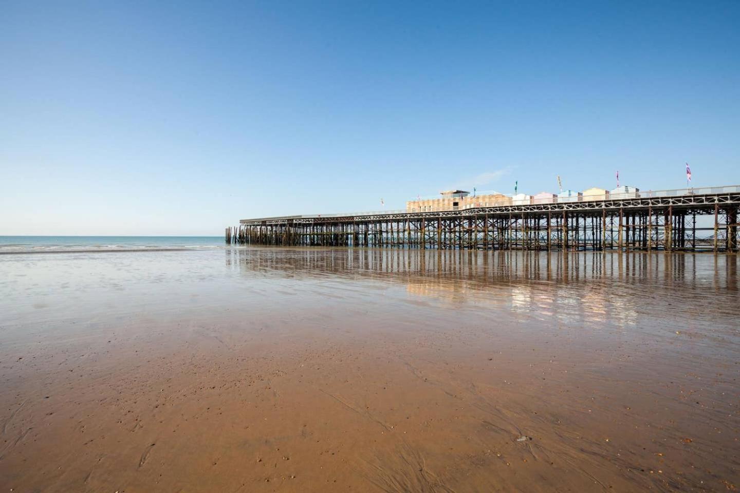 Fotografie 7: Seashell - Hastings