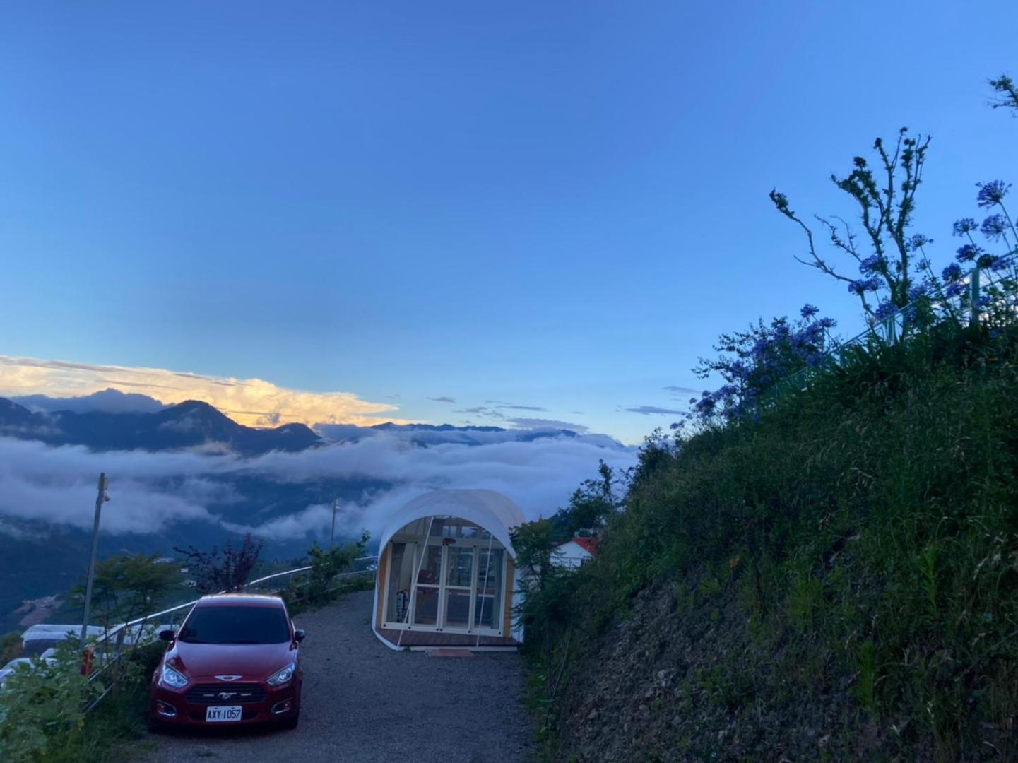 Foto 8: 清境花鳥蟲鳴高山露營區