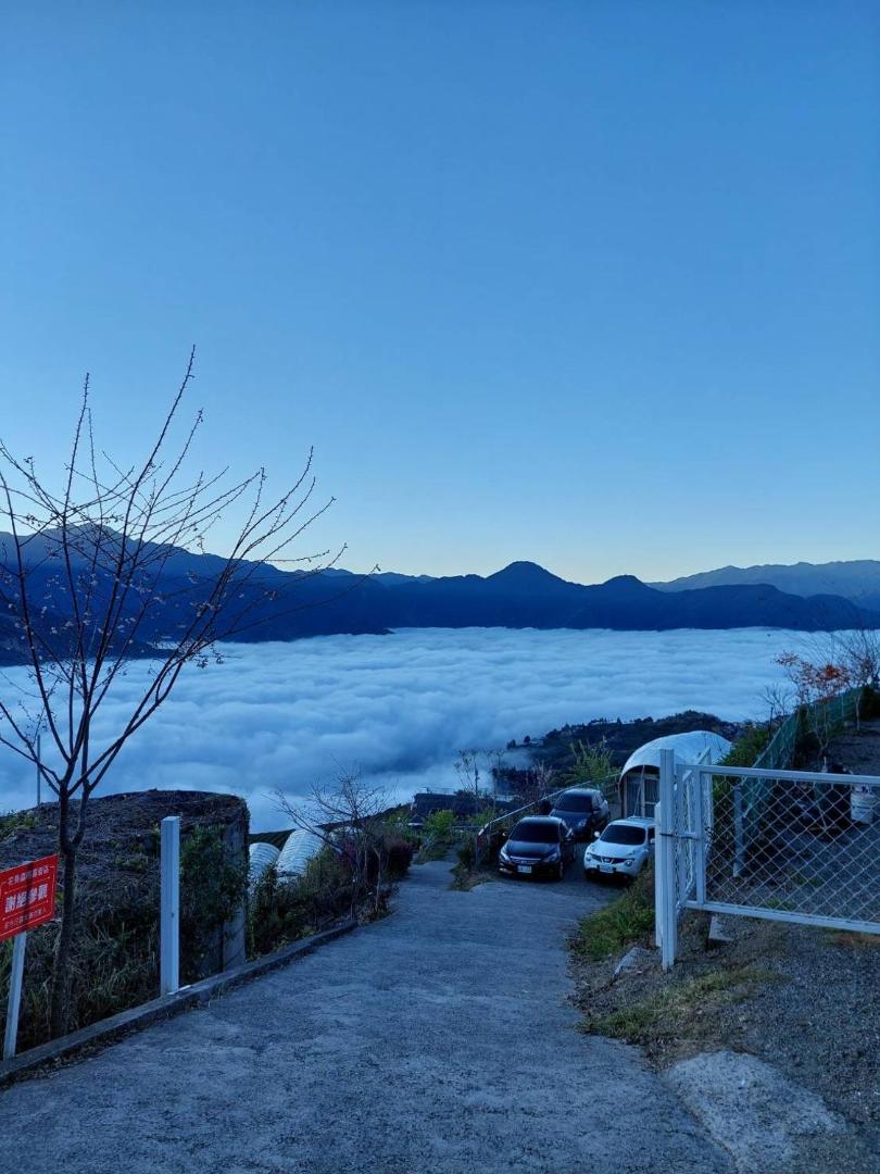 Foto 4: 清境花鳥蟲鳴高山露營區