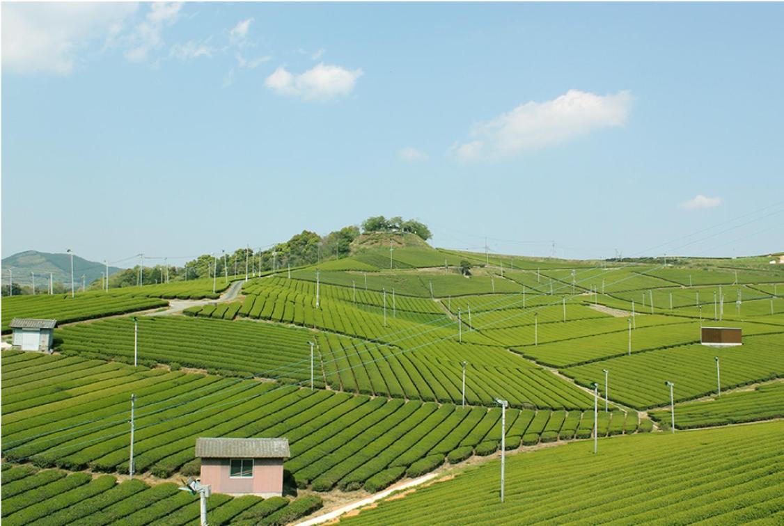 池の山荘的照片7