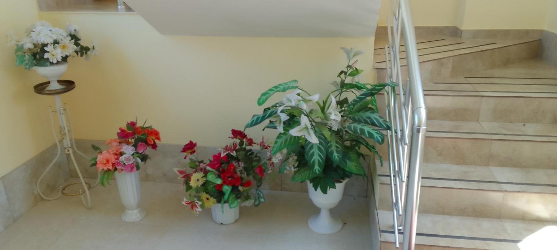 Zdjęcie 2: Sevan Backstage Garden