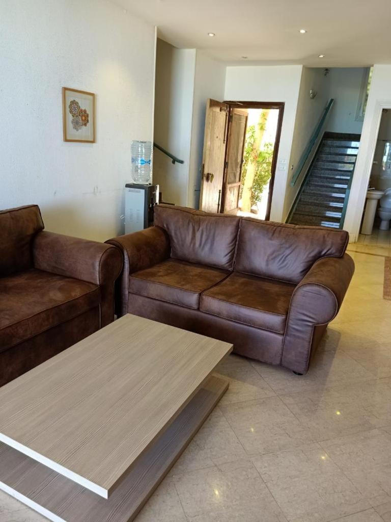 Photo 2 : العلمين