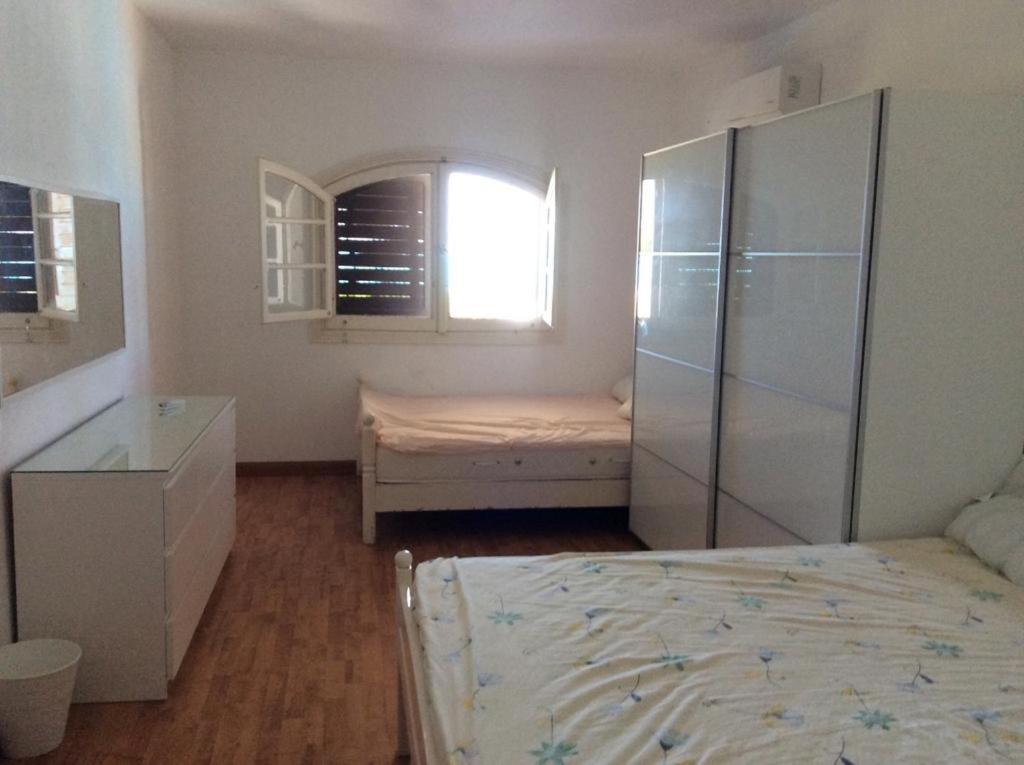 Photo 8 : العلمين