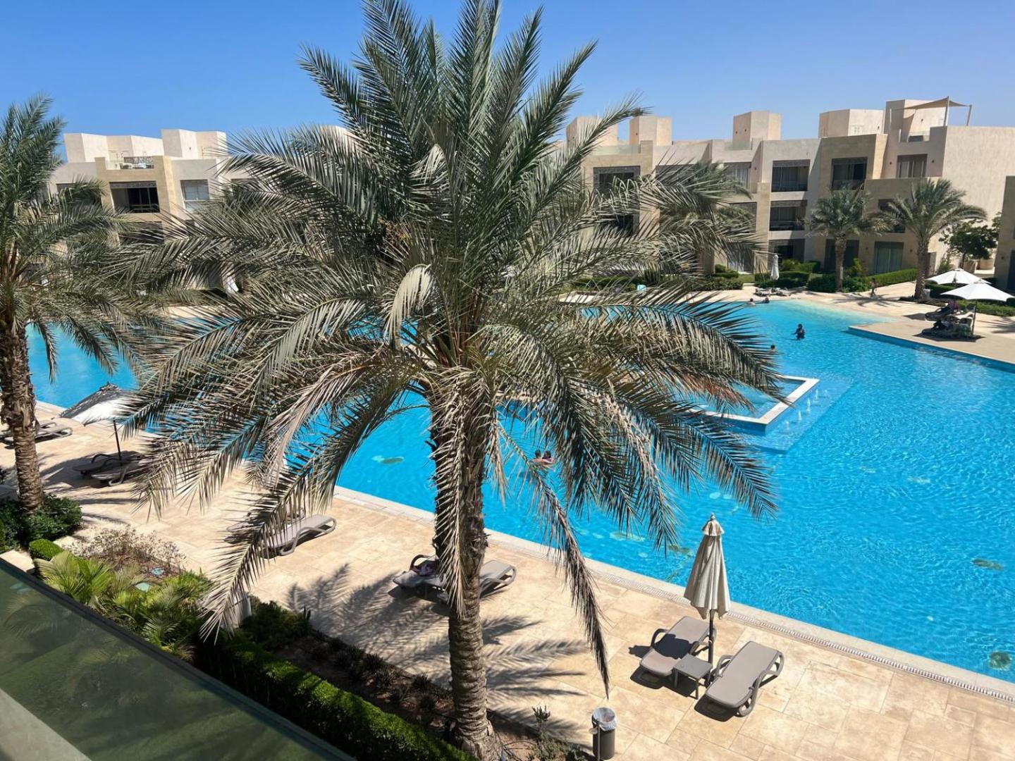 Fotografie 6: الجونة