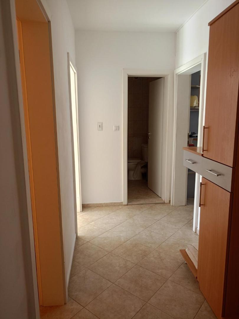 Zdjęcie 2: CunninghamsSilver